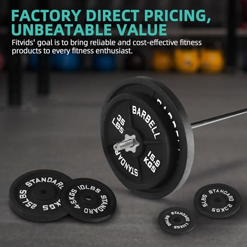 95 Lbs Cast Iron Standard Barbell Weight Set with Barbell Bar V914