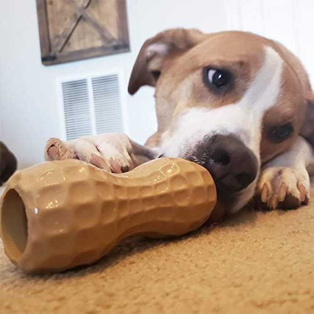 Peanut Butter Dog Toy Z29704