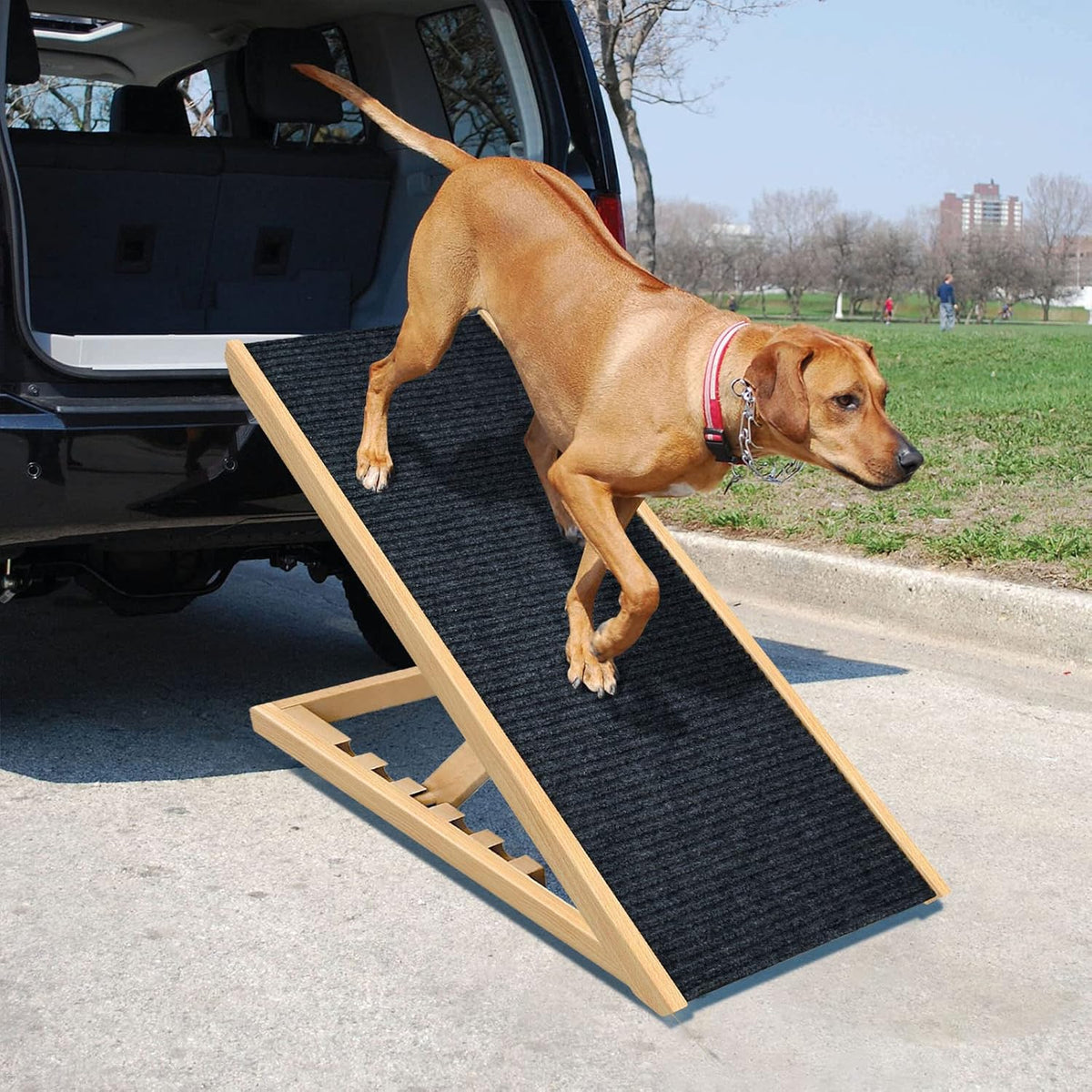 Adjustable Folding Portable Natural Wooden Pet Ramp Z636