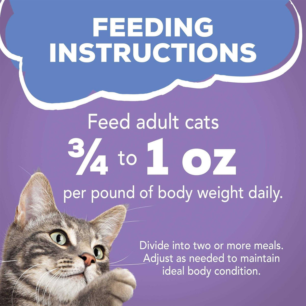 Turkey & Cheese Wet Cat Food H605