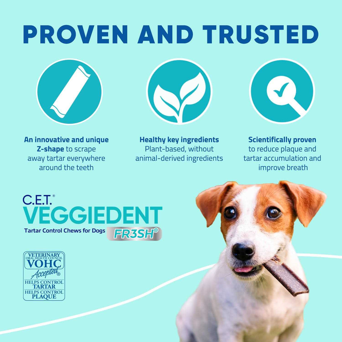 VeggieDent Tartar Control Chews for Dogs D454