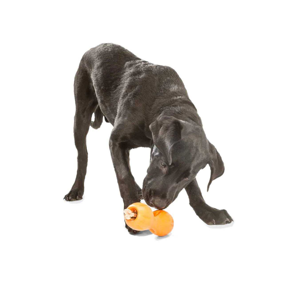 Dog Toy E6945