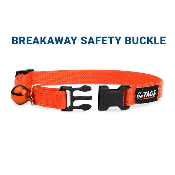 Nylon Personalized Breakaway Cat Collar with Bell B3216
