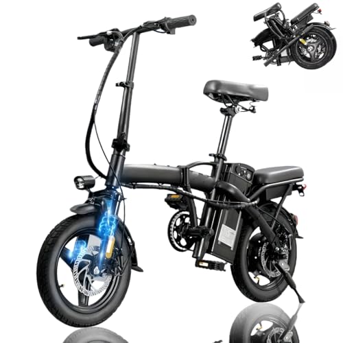 Folding Electric Bike with 48V 12AH Removable Battery K879