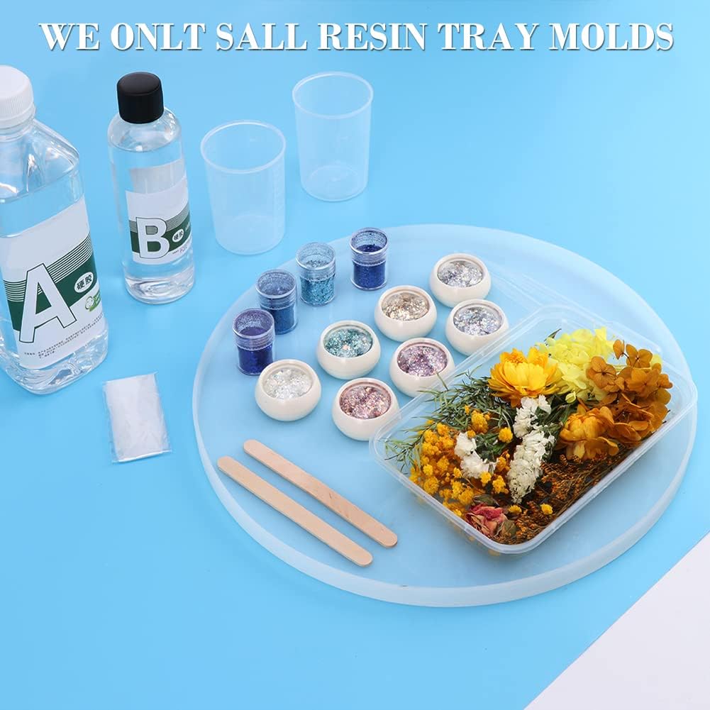 Round 11.8 Inch Silicone Tray Molds V8308