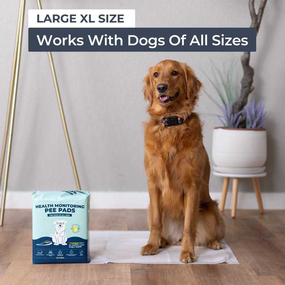 Health Monitoring Pee Pads X3897