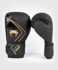 Black Gold 12 oz Boxing Gloves N42828