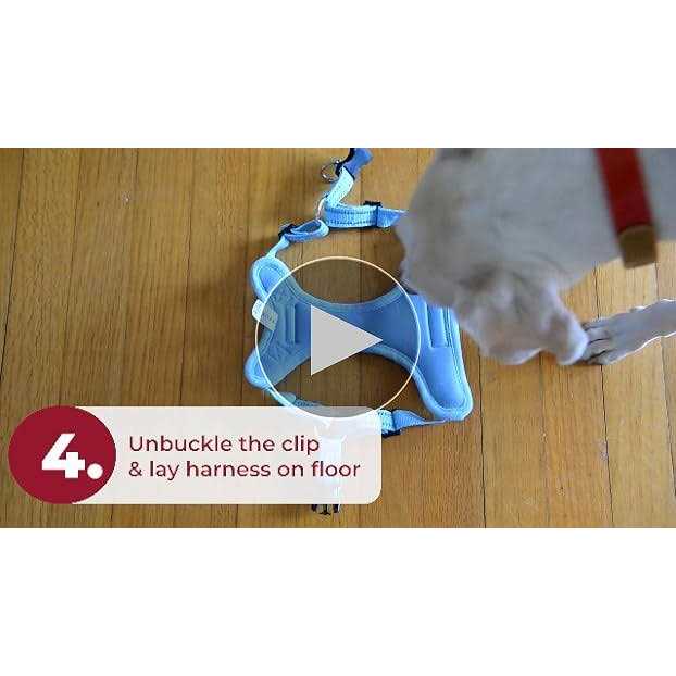 Adjustable Step In Dog Harness Y67935