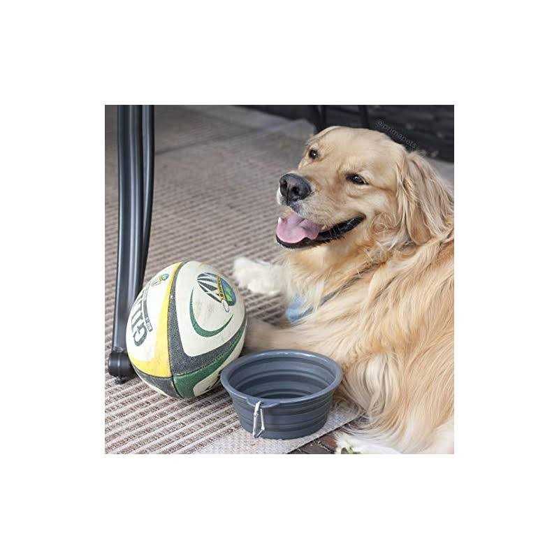 Collapsible Silicone Water Travel Bowl with Clip M605451