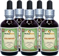 Organic Dried Leaves Alcohol-Free Liquid Extract 5x2 fl.oz C89748