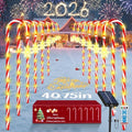 24 Pack Solar Candy Cane Lights with Remote T1200