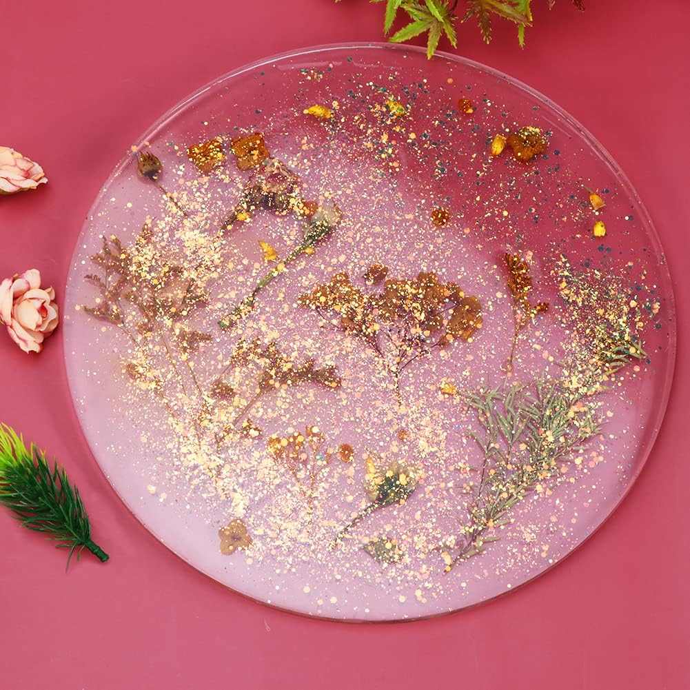 Round 11.8 Inch Silicone Tray Molds V8308
