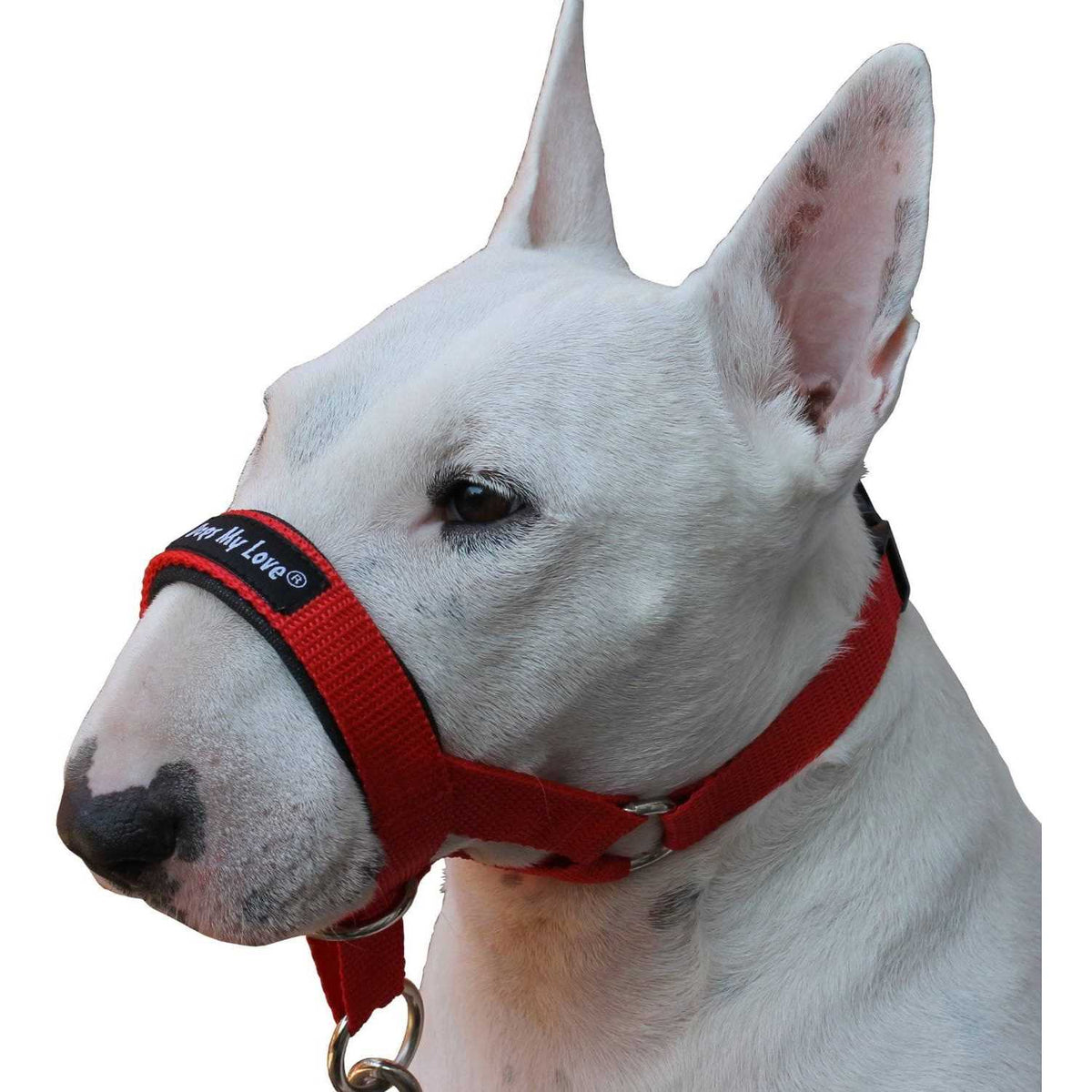 Dog Head Collar Halter S798