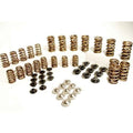 High RPM Springs & Titanium Retainers R64228