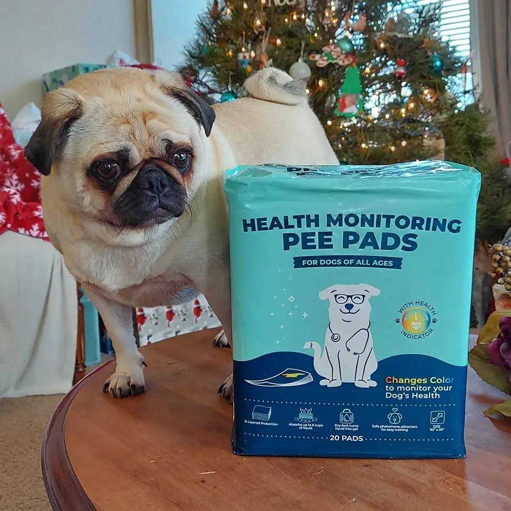 Health Monitoring Pee Pads X3897
