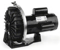 Pentair Waterfall EE Pool Pump Without Strainer T476119