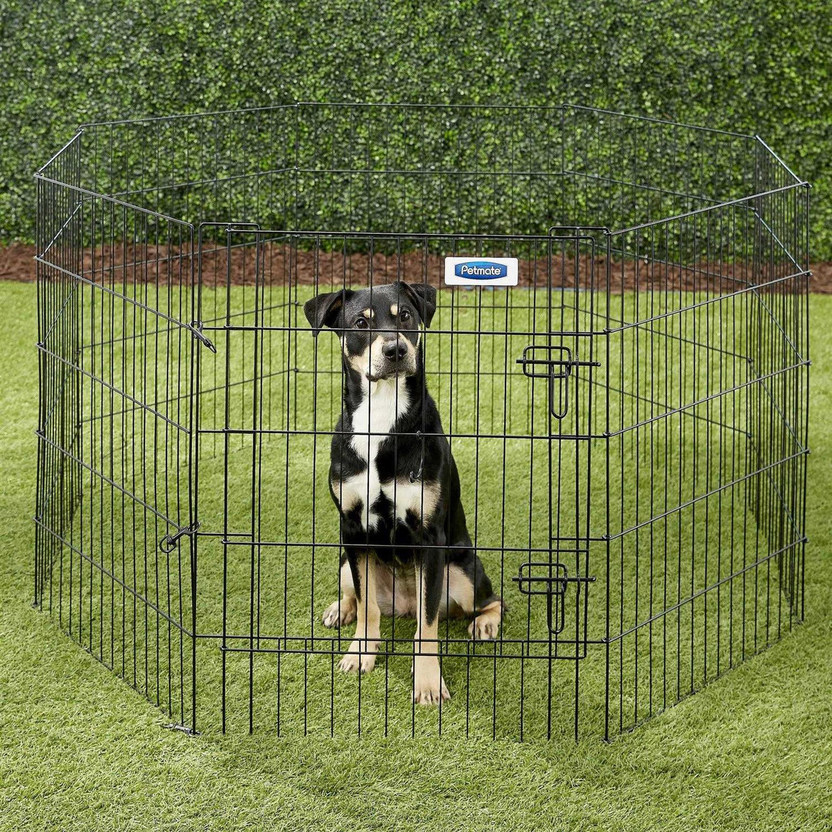 Exercise Pen with Door F555