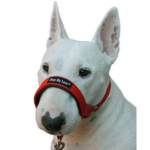 Dog Head Collar Halter S798