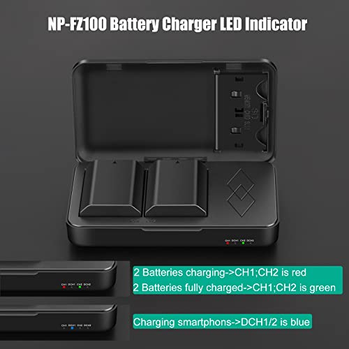 NP-FZ100 Battery and Charger 2 Pack A2719