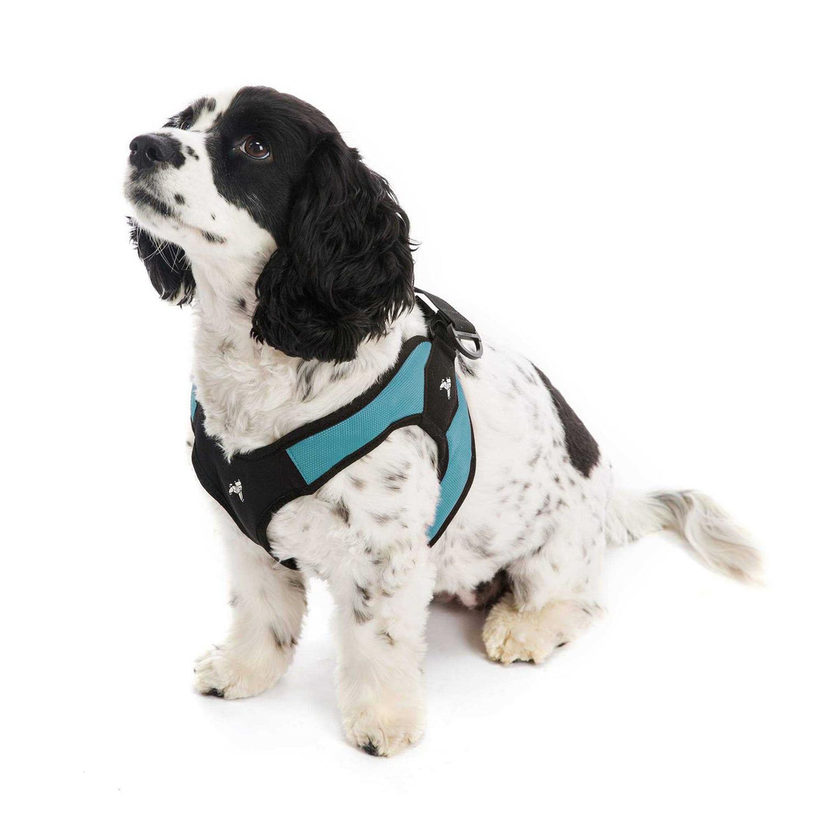 Dog Harness Y409