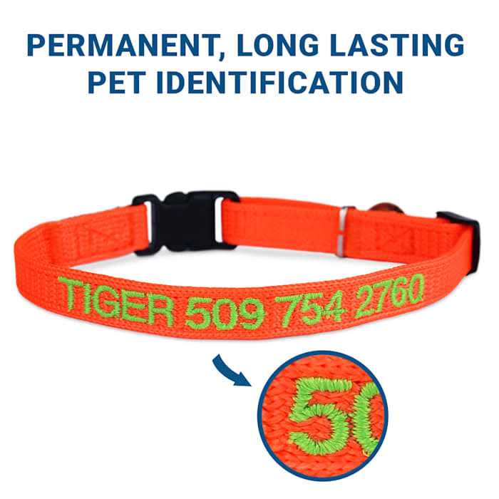 Nylon Personalized Breakaway Cat Collar with Bell B3216