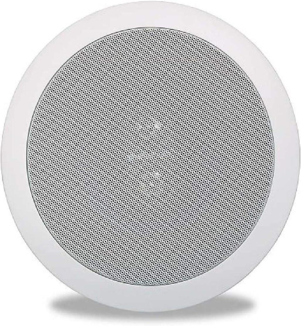 In-Ceiling 6.5 Stereo Speaker (White, Paintable Grille) M240