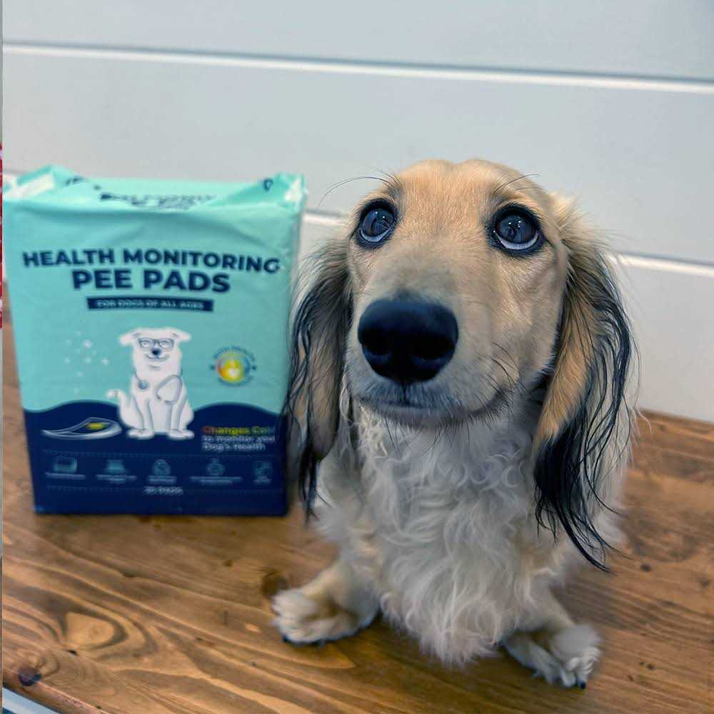 Health Monitoring Pee Pads X3897