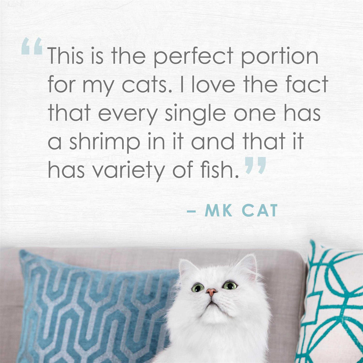 Natural Seabass & Shrimp in Broth Cat Food P207