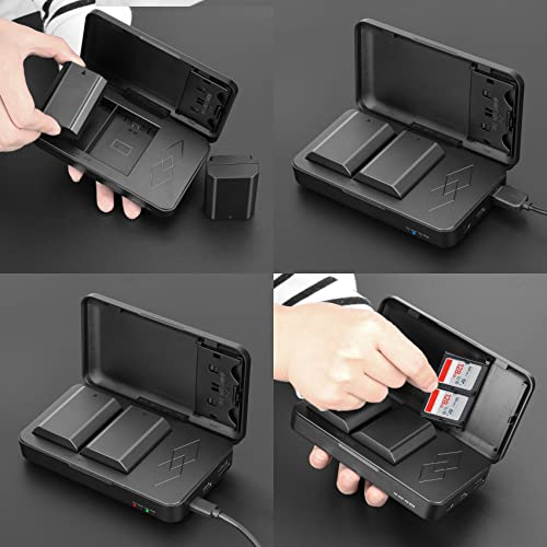 NP-FZ100 Battery and Charger 2 Pack A2719