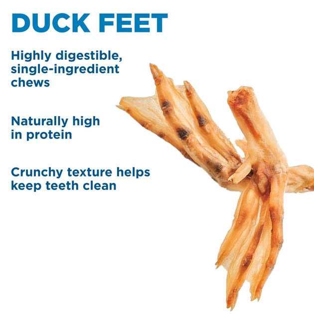 Duck Feet Dog Treats D25704